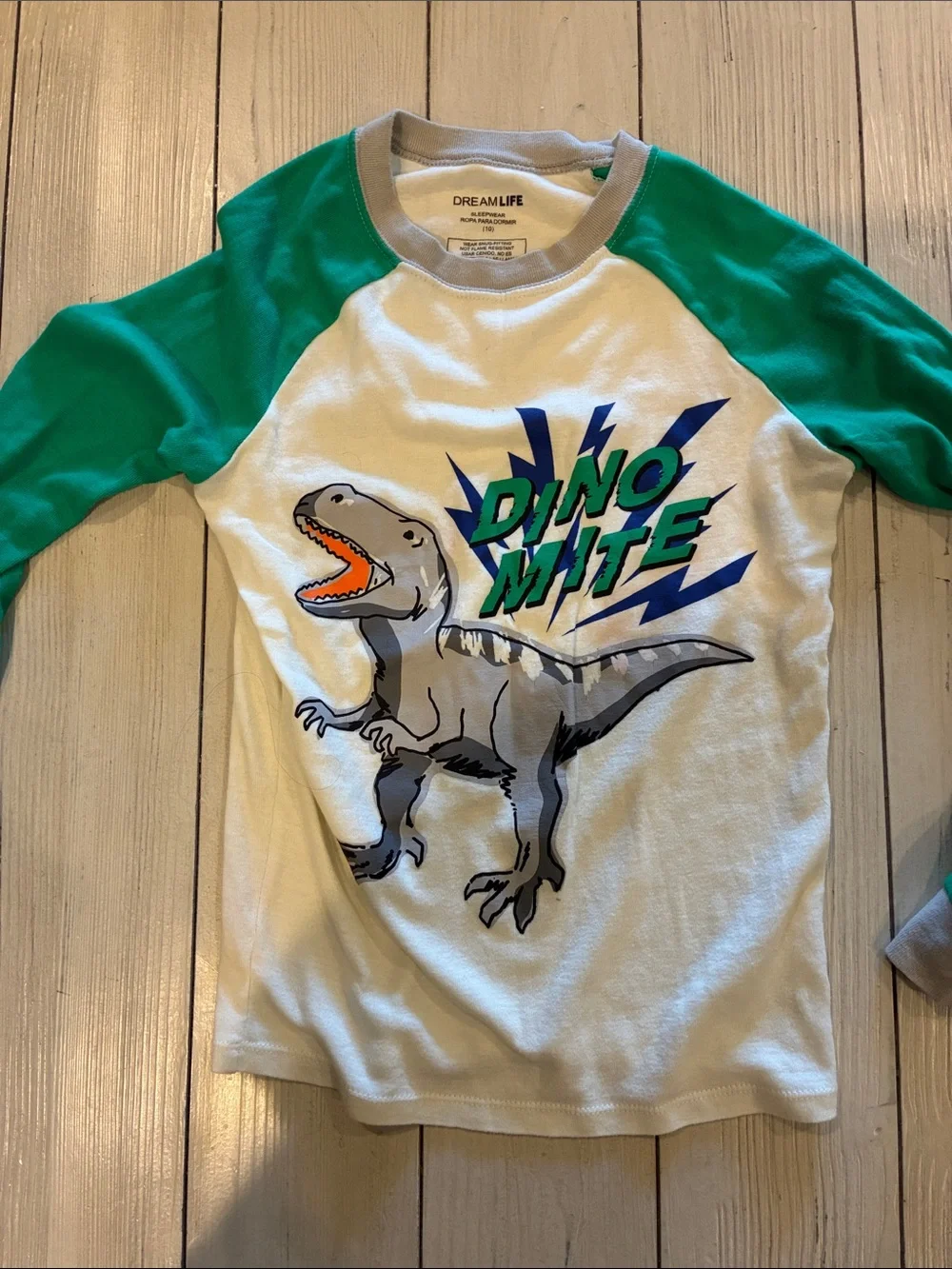 Kids Green Dino Graphic Pajama Set - Long Sleeve Top & Pants